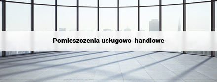 Pomieszczenia usługowo-handlowe